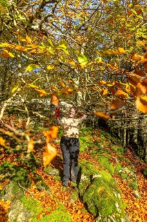 A woman enjoys a vibrant autumn hike through Gorbea Natural Park, surrounded by colorful foliage in