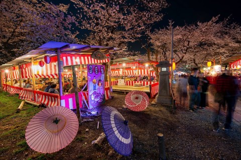 Visitors and food stalls among illuminated blooming cherry trees at Cherry Blossom Festival,