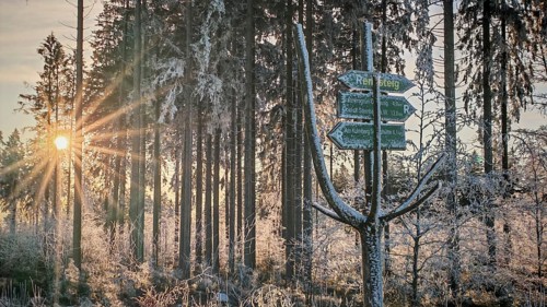 Rennsteig signpost on a snowy forest trail at sunset, surrounded by tall trees and a cozy, wintry