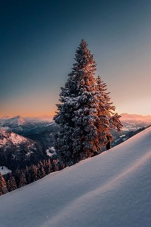 A Winter Wonder Land sunset hiking tour in the snow on the Edelsberg near Nesselwang in the Allgäu