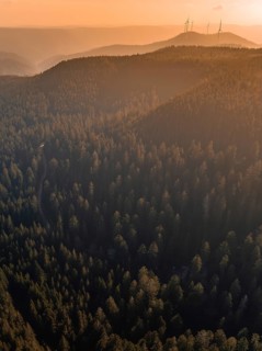 Mountains with dense forests in the warm light and wind turbines on the horizon, Calw district,