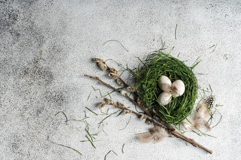 Top view of a rustic Easter setting featuring a nest made of fresh green grass, adorned with