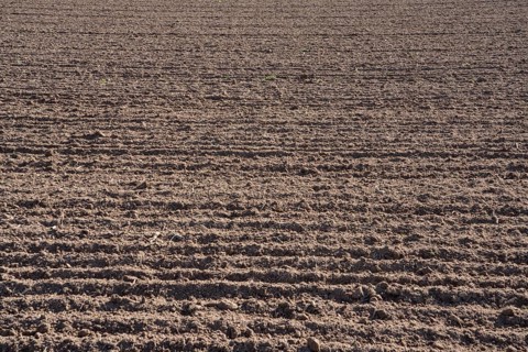 Ploughed field in autumn, Weserbergland, Germany