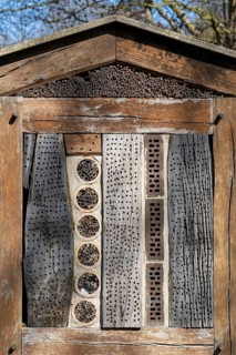 Insect hotel in the alder quarry forest, Rheda-Wiedenbrück, Westphalia, North Rhine-Westphalia,