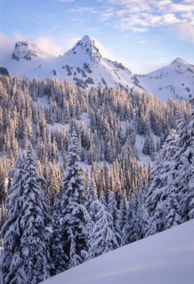 Winter snow layers heavily on the dense forests and rugged terrain of Mount Rainier National Park,