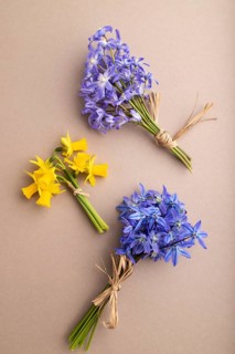 Spring snowdrop flowers bluebells, narcissus on beige pastel background. top view, flat lay, close