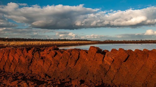 Peat mining in Goldenstedter Moor, Goldenstedt, Lower Saxony, Germany