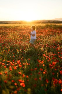 A young girl gazes thoughtfully while standing amidst a vibrant field of Papaver rhoeas, commonly