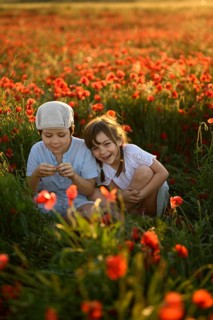 A boy and a girl, siblings, are joyfully interacting in a vibrant field of red poppies, highlighted