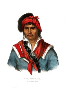 American Indian, Native American, Nea-Math-La, Chief of the Seminole Tribe, United States of