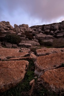 Bizarre limestone rock formations, El Torcal nature reserve, Torcal de Antequera, Malaga province,
