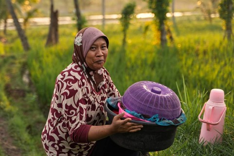 A woman in traditional attire sits in a lush Indonesian rice field holding baskets. The warm
