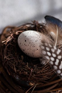 A detailed view of an Easter egg delicately spotted and nestled in a rustic nest, surrounded by