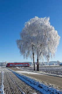 A red train passes a snow-covered tree under a clear sky, hoarfrost in Unterallgäu, Bavaria,