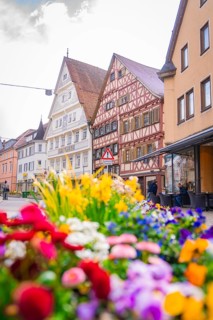 Lively flowers in front of picturesque half-timbered buildings under a slightly cloudy sky, Nagold,