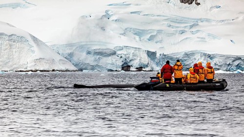 A group in bright jackets travelling on a rubber dinghy through an icy landscape, tourists whale