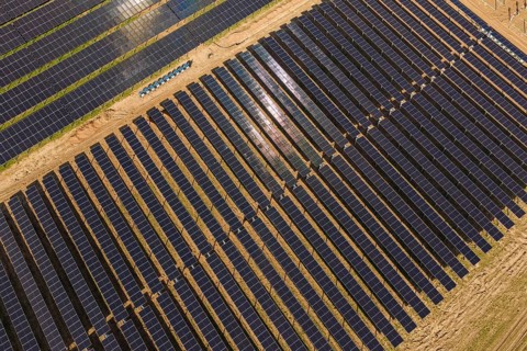 Densely staggered rows of solar panels evenly arranged in a field, Agri PV Bau für Landwirtschaft,