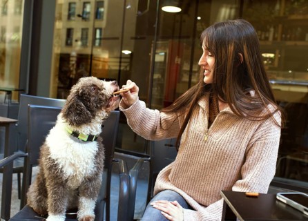 A young woman smiling as she feeds her fluffy dog in an outdoor setting. The scene is warm and