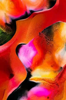 A striking abstract artwork showcasing dynamic liquids patterns. Bright hues of red, orange, pink,