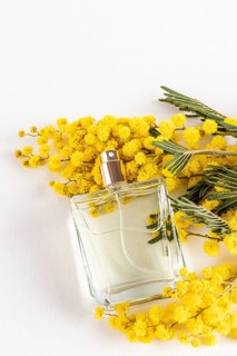 A transparent perfume bottle, elegantly surrounded by vibrant yellow mimosa flowers on a white