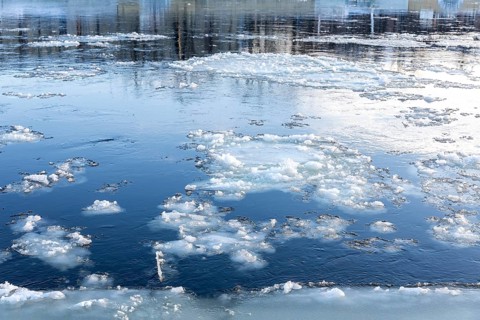 Drift ice and frozen ice rinks on the banks of the Elbe, Dresden, Saxony, Germany