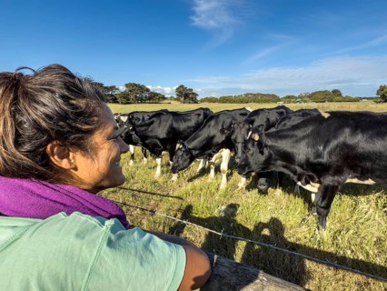 A woman leans on a fence, enjoying the view of cows grazing in a lush green pasture in Victoria,