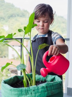 A young female child meticulously waters growing plant in a bright green planter using a vivid red