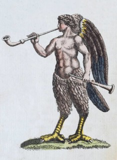 Siren, mythical creature, hand-coloured copperplate engraving from Friedrich Justin Bertuch's