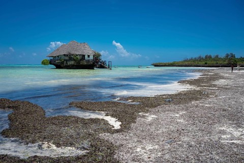 MICHAMVI PINGWE, ZANZIBAR - OCTOBER 15, 2025: The iconic Rock Restaurant sits on a coral outcrop