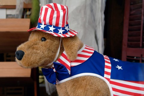 Cloth dog with American cap coat at a toy store, Hackettstown, New Jersey, USA