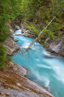 Rissbach stream in spring, Rissbach gorge near Hinterriss, Hinterriss, Bavaria, Germany