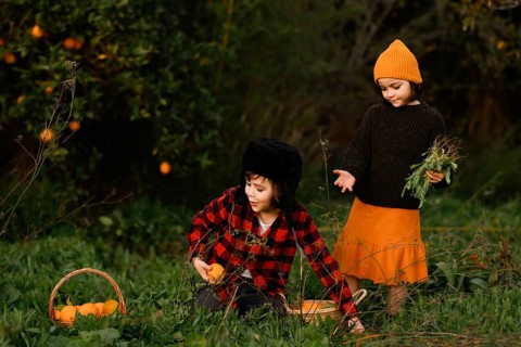 Two children in cozy attire picking oranges in a vibrant green garden. A wicker basket filled with