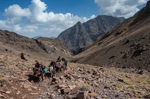 TOUBKAL NATIONAL PARK, MOROCCO - SEPTEMBER 30, 2024: Men on mules at the trail to Toubkal, the