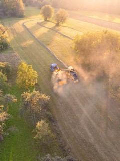 Two vehicles in a field raising dust at sunset and trees in the background, Haselstaller Hof,