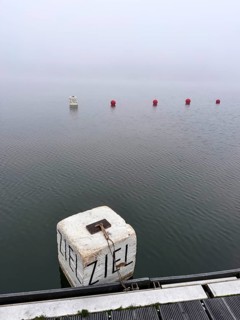 Buoys for water sports in dense fog on Lake Baldeney in Essen, foggy weather in winter, North