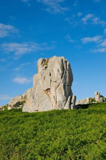 Striking boulders surrounded by ferns on the Pink Granite Coast in Brittany, France