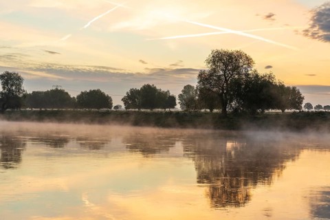 Morning with fog on the Elbe at sunrise, Radebeul, Saxony, Germany