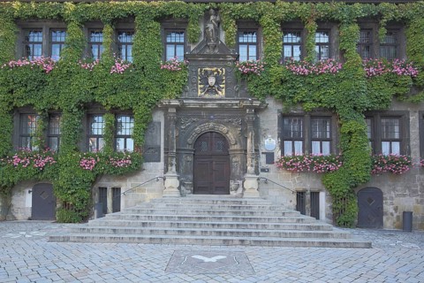 Entrance with plant growth, ivy to the town hall, market square, Quedlinburg, Harz, Saxony-Anhalt,
