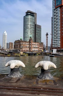 Kop van Zuid, Wilhelminapier, skyscrapers on the Nieuwe Maas, skyline of the city center, Rijnhaven