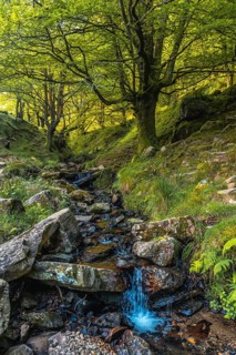 River in the beech forest on the path up to Monte Adarra in Urnieta, near San Sebastian. Gipuzkoa,