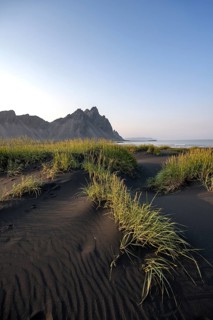 Black beach with volcanic sand, sandy beach, dunes with grass, Stokksnes headland, Klifatindur