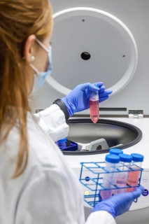 Bonn, North Rhine-Westphalia, Germany - Research in the field of immunology and infectology at the