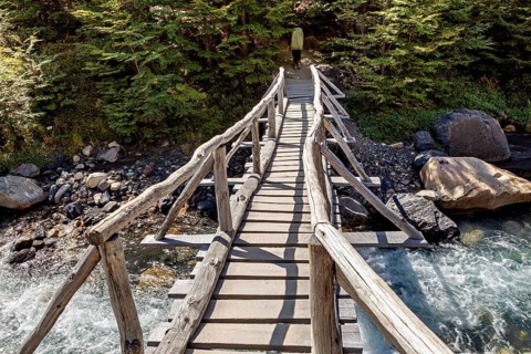 Wooden bridge crosses a river, surrounded by dense forest, inviting for hikers, bridge over a