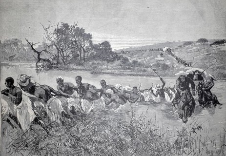 A river crossing in South Africa, 1890, people pull a wagon through a fort, others drive the cows.