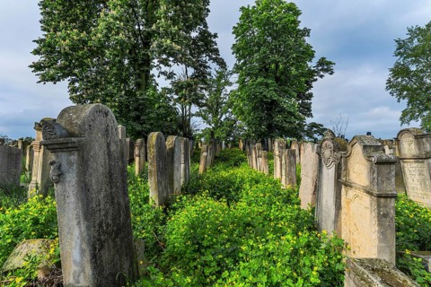 Jewish cemetery, Czernowicz, Bukovina, Ukraine