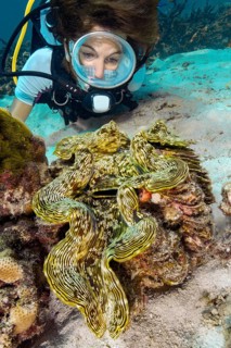 Underwater photo of diver looking at illuminated Giant clam (Tridacna maxima) common name Murre