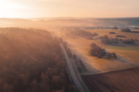 A tree-lined road through fields at dawn, Gechingen, Calw County, Germany