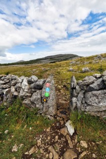 Hiking trail with markings, leads through stone wall, boundary, karst landscape, Burren National