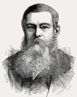 Sir Johannes Henricus Brand, Jan Brand or John Henry Brand, 1823–1888, the fourth state president
