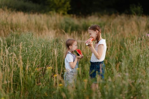 Two children happily enjoy juicy watermelon slices in a lush, sunlit field during summer. The scene